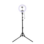 Beauty Selfie Ring Fill Light 14inch Dimmable Camera Phone Ring Lamp 3 color beauty brightening fill light For Makeup Video Live