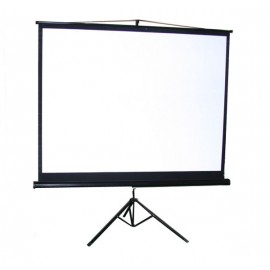 Screen Projection (0)