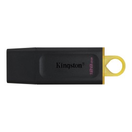 KINGSTON USB 3.2 FLASH MEMORY 128GB